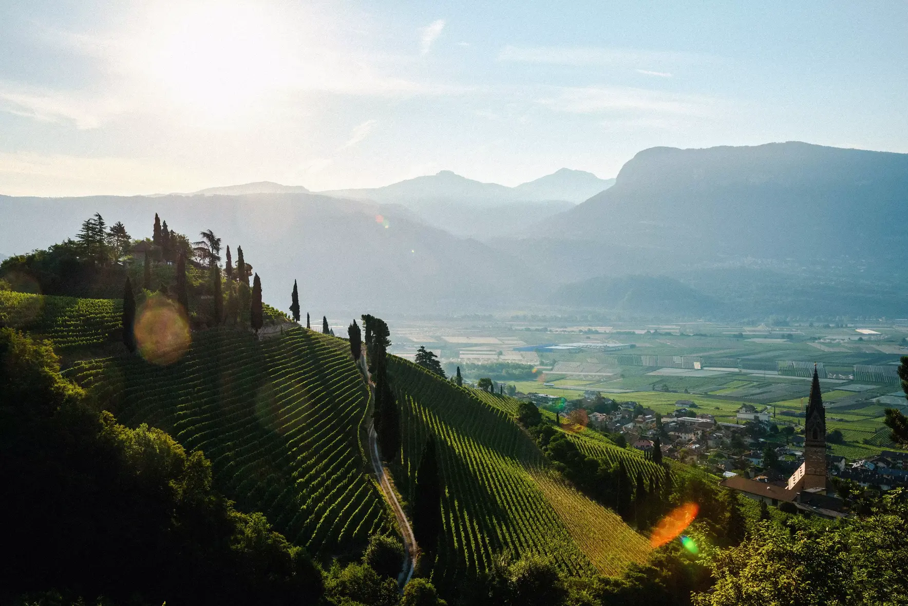 5 Gründe, warum Tramin der beste Ort für deinen Frühlingsurlaub in Südtirol ist
